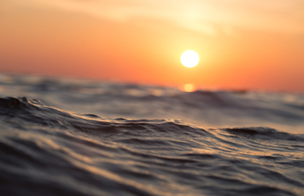 В Великобритании на пляж выбросило неизвестное гигантское существо