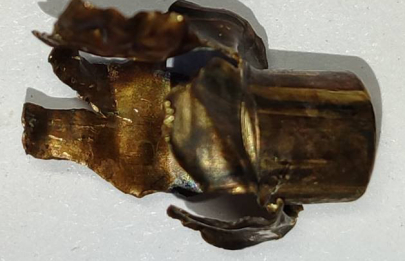 Браконьер получил срок за убийство краснокнижного медведя в Бешенковичском районе