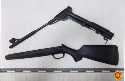 Жительница Барановичского района прострелила себе руку пневматической винтовкой из маркетплейса