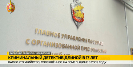 Правоохранители раскрыли убийство на Гомельщине 17-летней давности