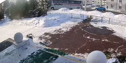 Автобус с пассажирами врезался в дерево в Могилеве: что известно