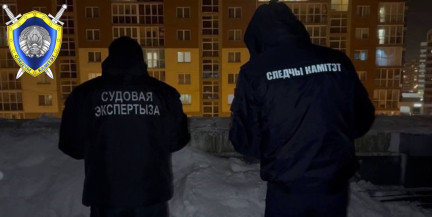 Директору торгового центра «Dana Mall» предъявлено обвинение в служебной халатности