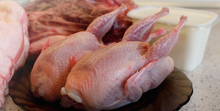 Зараженную украинскую курятину нашли в Азербайджане