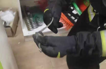 Змею нашли в магазине в Червене: узнали, была ли она ядовитой