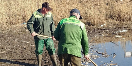 Замор рыбы зафиксировали во Фрунзенском районе в Минске