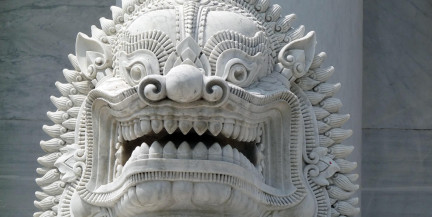 Полицейские переоделись во льва ради поимки неуловимого вора в Таиланде