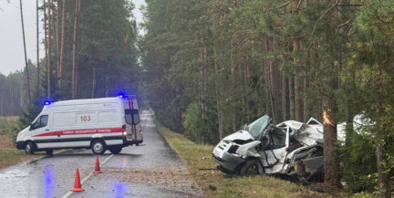 В Смолевичском районе 47-летний водитель насмерть разбился о дерево