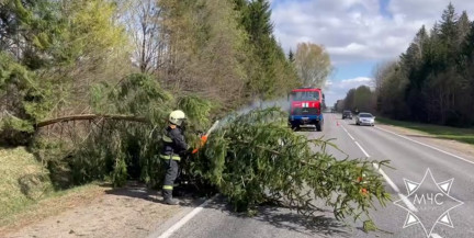 Последствия сильного ветра устранили спасатели