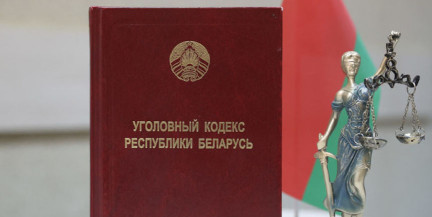 В Пинске задержан 19‑летний сторонник нацистской идеологии