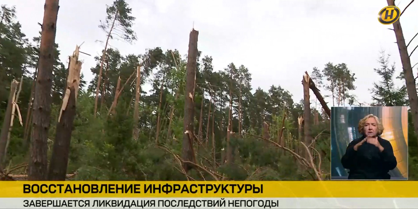 Кадр из новостей телеканала ОНТ: поваленный и сломанный бурей лес. Внизу плашка «Восстановление инфраструктуры», в углу — сурдопереводчик.