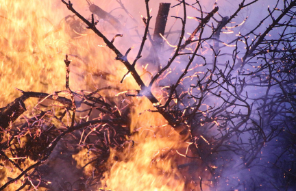 Мощные лесные пожары охватили остров Крит