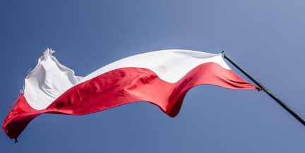 В польской епархии обнаружили десятки священников‑педофилов