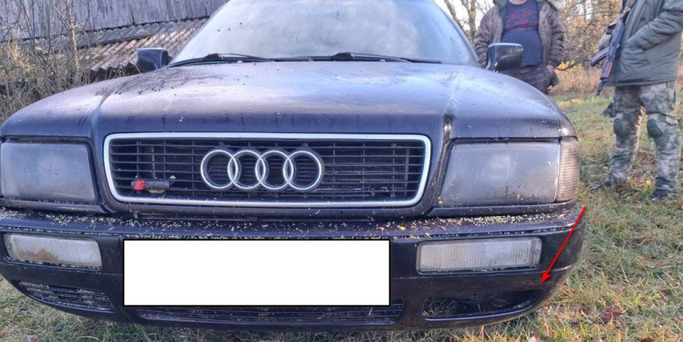 Браконьеры под Кобрином: задержаны за убийство лося