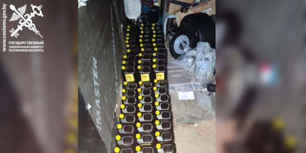 Наркопрекурсоры под видом тормозной жидкости: в Бресте пресекли контрабанду