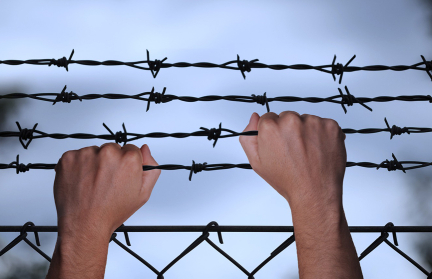 На границе с Латвией обнаружили избитого беженца – это спасло ему жизнь