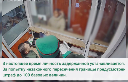 На границе Беларуси и Польши задержана иностранка с поддельным французским паспортом