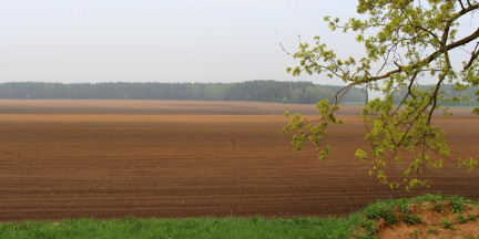 Прокуратура Минской области выявила нарушения при подготовке к посевной