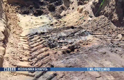 Гибель 119 телят в хозяйстве Могилевского района выявили сотрудники БЭП