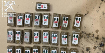 Белорусская таможня сорвала международный наркотрафик: изъято 260 кг гашиша