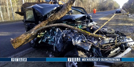 Уснул за рулем. Легковушка врезалась в грузовик в Славгородском районе