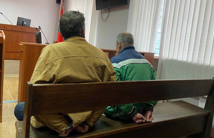 Суд назначил наказание двум белорусам, которые в зоопарке напоили оленя кока-колой