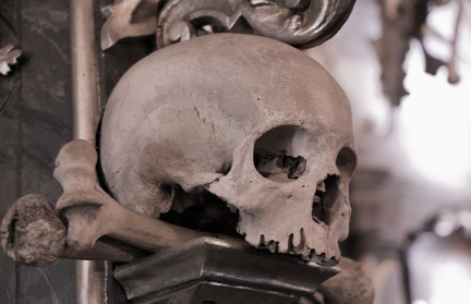 В Великобритании открылся магазин, торгующий человеческими останками