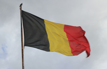 В Бельгийской комиссионке обнаружили работу Пикассо, стоящую 12,6 тысячи евро