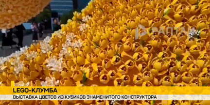 В Шанхае расцвел сад из 380 тысяч цветов, собранных из конструктора