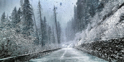 Шторм во Франции оставил десятки тысяч семей без электричества