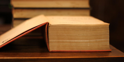 Слово «абьюзер» может официально войти в словарь русского языка