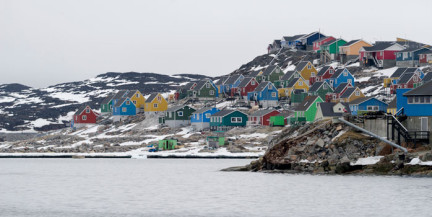 Бомж из Гренландии согласился не предложение Трампа переехать в США за 1 млн долларов