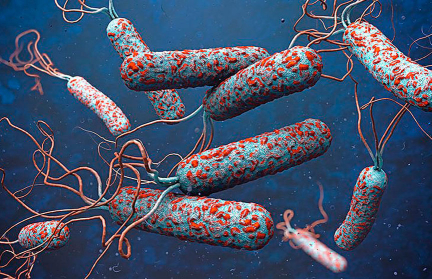 На Гаити зафиксирована одна из крупнейших вспышек холеры за последние 15 лет