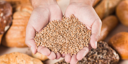 ООН: кризис на Ближнем Востоке грозит новым голодом в беднейших странах