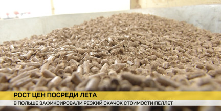 Летом в Польше резко выросли цены на пеллеты