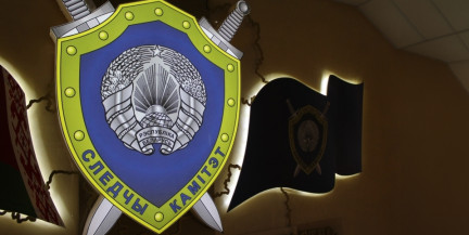 СК проверяет факт нападения польских силовиков на гражданина Беларуси