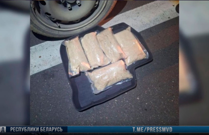 В Гомельской области задержан иностранный курьер с 5 кг психотропов