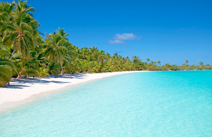 Двое американцев хотели захватить остров при поддержке армии бомжей