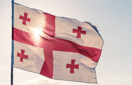 Беспорядки в Тбилиси: премьер Грузии требует реакции от посла ЕС