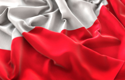 Поляки протестуют против втягивания Польши в боевые действия на Украине