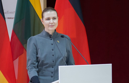 Министр обороны Литвы заявила, что уходит в отставку