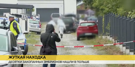 Десятки закопанных эмбрионов нашли в Польше строители на участке врача