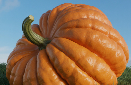 Тыкву весом 1064 кг вырастил инженер