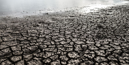 Власти Кипра объявили чрезвычайное положение из-за водного кризиса