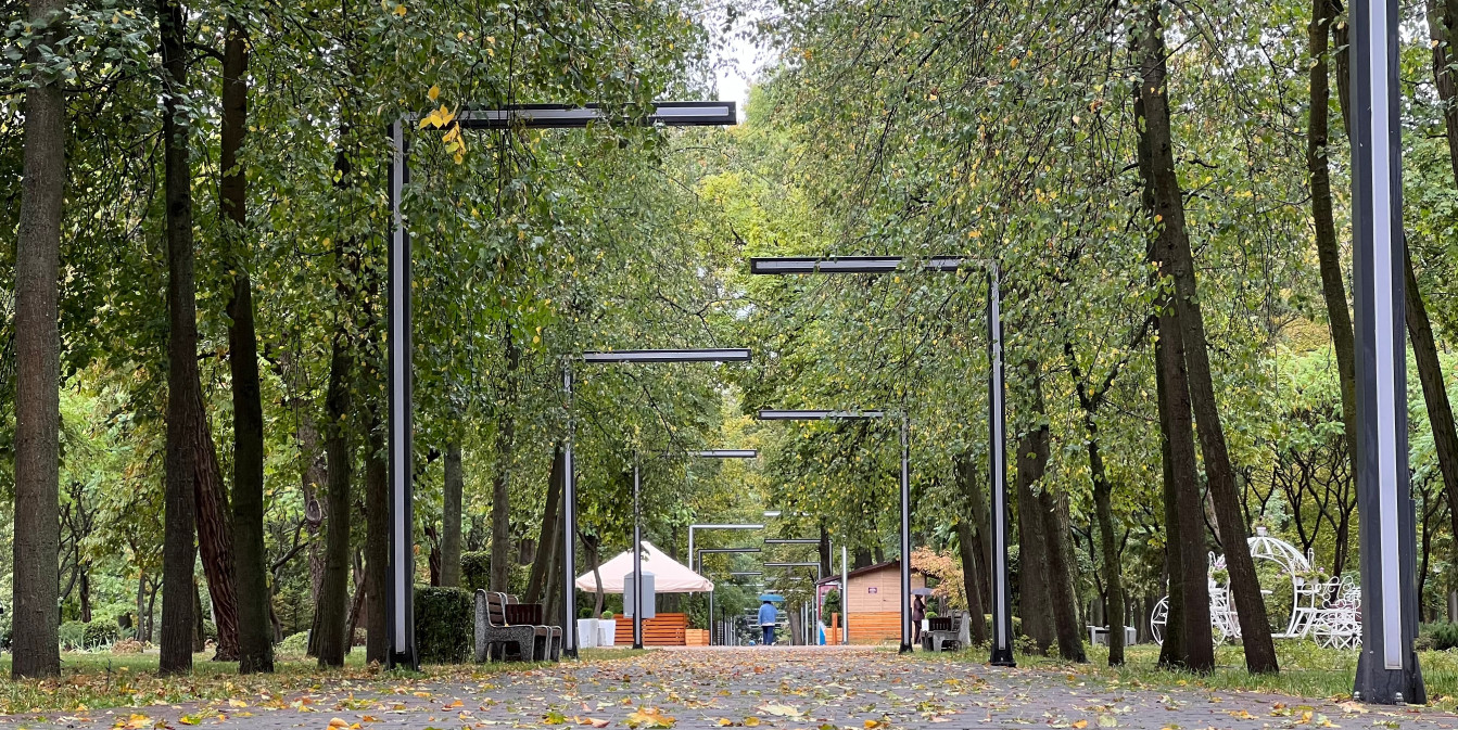 человек прогуливается в парке
