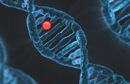 Японские ученые впервые победили синдром Дауна