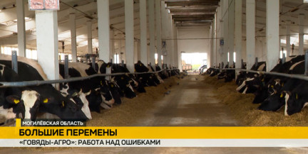 После визита Президента в хозяйстве «Говяды Агро» наметили комплекс мер по наведению порядка и росту надоев