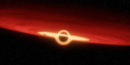 Впервые в истории ученые снимут видео черной дыры – Guardian