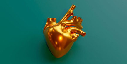 Ученые подтвердили способность сердца к саморегенерации