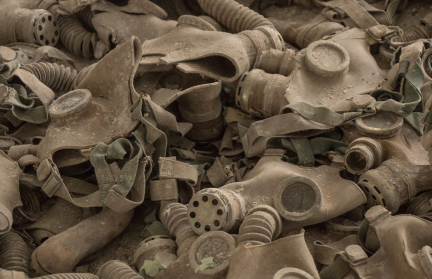 У животных из Чернобыльской зоны отчуждения найдены признаки ускоренной эволюции