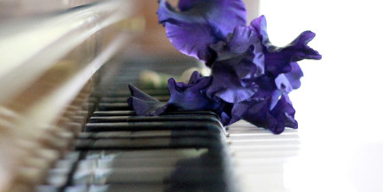 В Минске состоится концерт пианиста-виртуоза Дениса Мацуева «Классика и джаз»